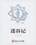 电视剧迷谷记