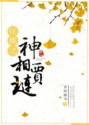 红楼之神级贾琏起点