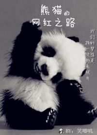 网红熊猫花花