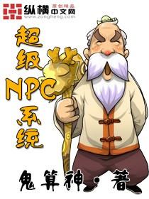 超级NPC系统的软件平台是