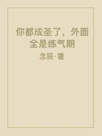外面全是炼气期 念辰