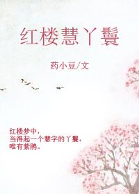 红楼慧丫鬟2k阅读网